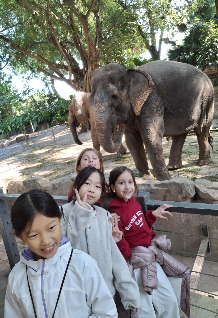 ProActiv Sports - Best Activities for Kids in Hong Kong in 2025