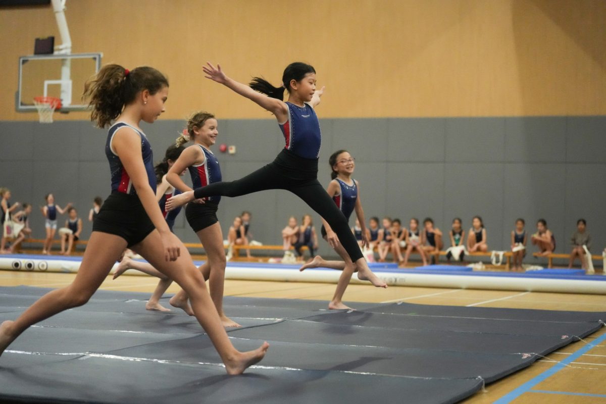 Proactiv GYM: Elevating Gymnastics in Hong Kong — ProActiv Sports