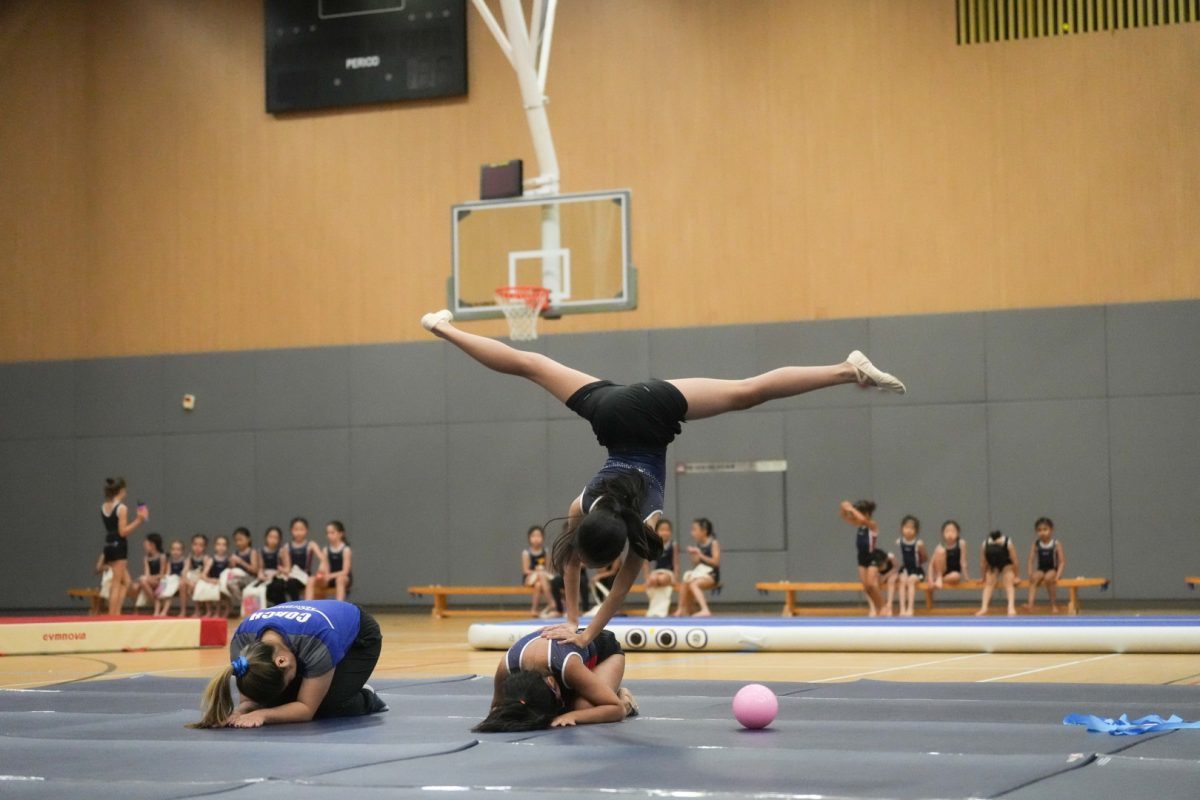 Leaping Into Benefits: How Gymnastics Shapes Your Child’s Future — ProActiv Sports