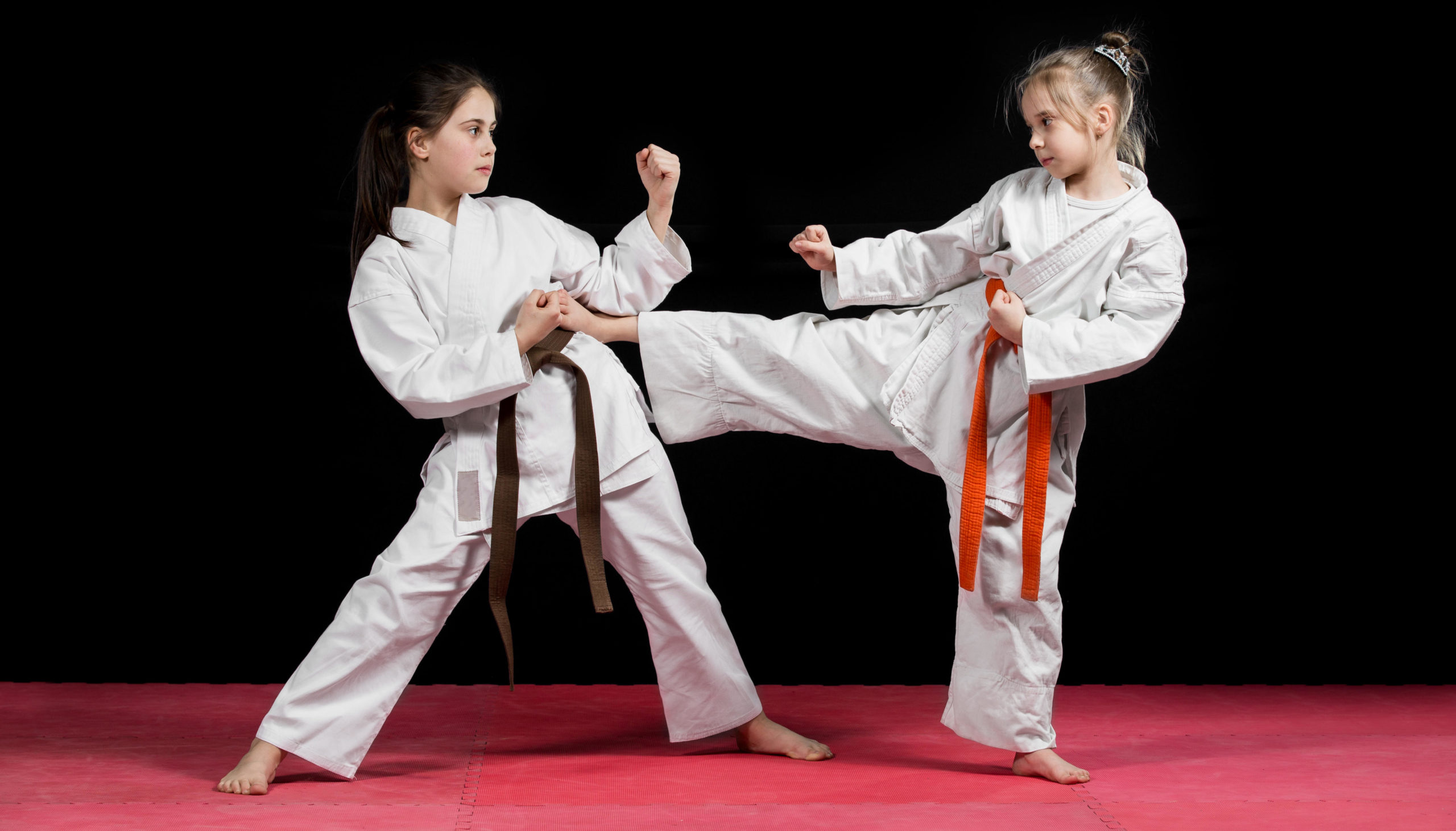 Hongkong | ProActiv Sports | How do you categorize Martial Arts?