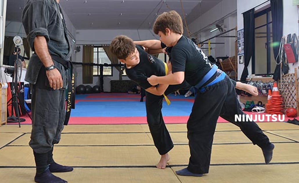 Singapore | ProActiv Sports | How do you categorize Martial Arts?